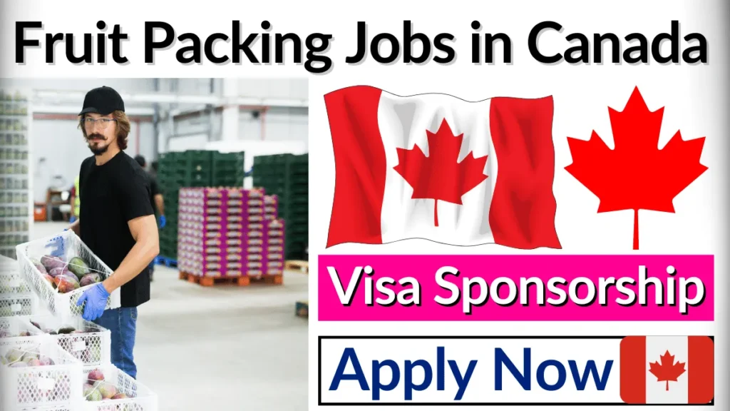 Fruit Packing Jobs in Canada with Visa Sponsorship (Apply Now)