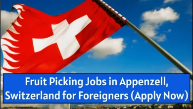 Fruit Picking Jobs in Appenzell, Switzerland for Foreigners (Apply Now)