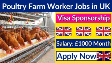 Poultry Farm Worker Jobs in UK with Visa Sponsorship (Apply Now)